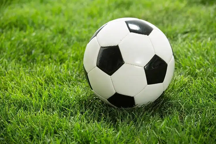 足球爱好者观赛场景